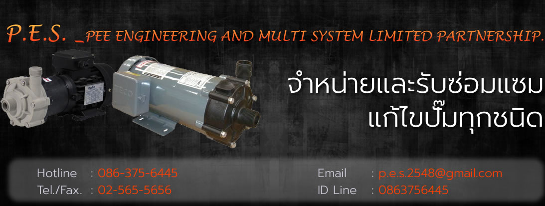 PEE Engineering and Multi System — ปั๊มไดอะแฟรมระบบลม