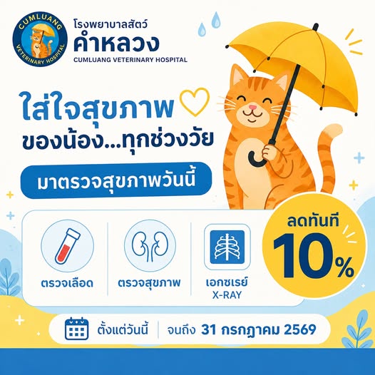 โรงพยาบาลสัตว์คำหลวง — การดูแลสัตว์เลี้ยงภายในคลินิก