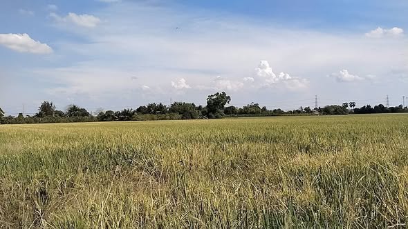 MK Surveyor ทีมรังวัดที่ดิน