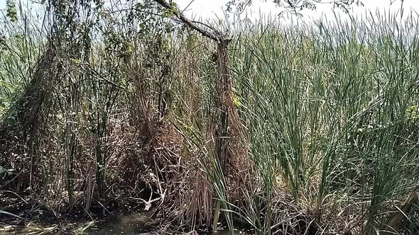 MK Surveyor ผลงาน 1