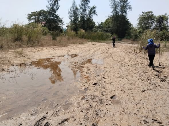 MK Surveyor ผลงาน 2