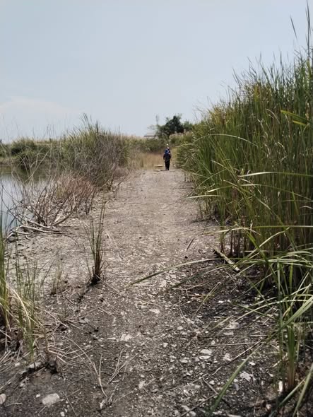 MK Surveyor ผลงาน 3