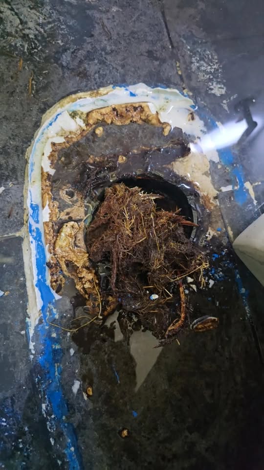 สูบส้วมภูเก็ต — ผลงานจริง